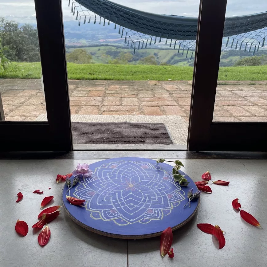 Mandala pintado à mão com pétalas ao redor, vista para o campo
